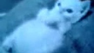Have A Nice Day  Minou