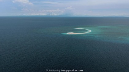 Shark. Terror. 2025. 1080p. WEBRip. x264. AAC5. 1-[YTS. MX]