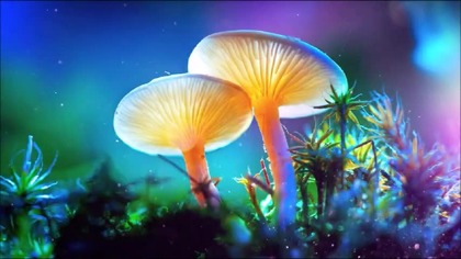 HSTV - music mix for a mushroom party