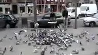 Polowanie na obiad