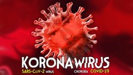 KORONAWIRUS! - Czy jest powód do paniki? Co powinieneś wiedzieć
