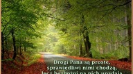 Alfred Cookman - Obmyty w krwi Baranka