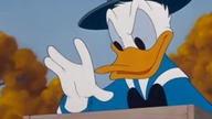 Kaczor Donald - Zapasy na zimę (1949)