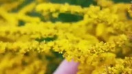 Jeżyny #short #shorts #new #shortvideo #shortsvideos