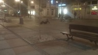 Pijany koles przewraca sie w centrum