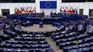 A strong speech by Grzegorz Braun in the European Parliament.
