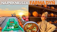 Magia jesieni  zupa Harryego Pottera i nowe włosy.