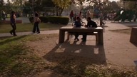 Halina s08e19