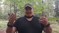 Odpowiemy na pytanie - jak reagować na dzikie zwierzęta