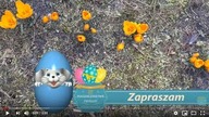 Co sie będzie działo u mnie przed świętami?