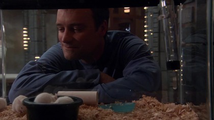 Gwiezdne wrota Atlantyda [s01e03] Hide and Seek