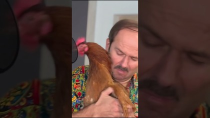 Kurka wchodzi do szołbiznesu