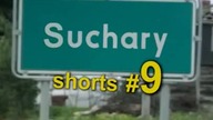 NAWET NIE ZAPYTASZ MNIE JAK SIĘ CZUJĘ - Suchary #shorts #9