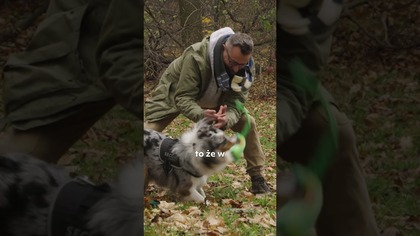 ZBOŻA W KARMIE? BEHAWIORYSTA TŁUMACZY, KIEDY SĄ OKEJ, A KIEDY ICH UNIKAĆ!