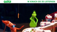 Grinch  spot 10 s. (2)
