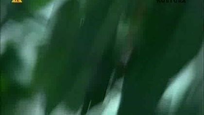 Anatomia sumień (2000)