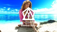 Shakira - Whenever, Wherever (Y & T REMIX)