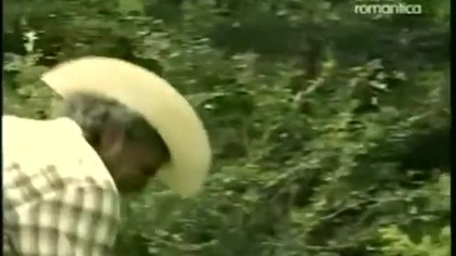 Miłość jak tequila odc 169