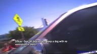 Policjant każe kobiecie wsiąść do gorącego auta