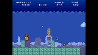 Mario Totem World 3-5 SakuraMotchi 2020