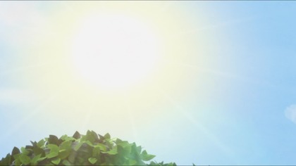 Barbie Princ3ss Adv3ntur PL