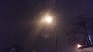Śnieg