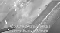 Pociski w zwolnionym tempie
