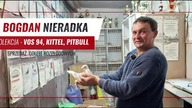 Bogdana Nieradki - gołębie Lini Vos 94, Kittel, Pitbull - film gołębie 2022