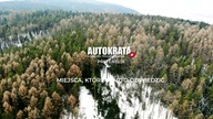 Molo Leśne - Kładka w koronach drzew - Stary Sącz
