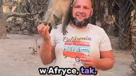 KRÓL MAŁP  #podróże #afryka #travel #senegal #małpa #kamperemprzezświat