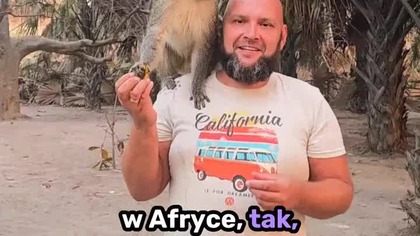 KRÓL MAŁP  #podróże #afryka #travel #senegal #małpa #kamperemprzezświat