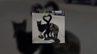 Old Love - Yuji / Putri Dahlia (sped up)