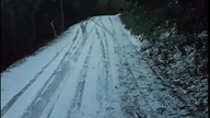 Dachowanie w lesie na drzwie