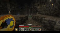 Two zombies, one sword and a wolf with armor #game #minecraft #Short #Shorts #Cave