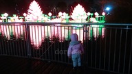 KIM JEST CZESIO? | WILD LIGHTS DUBLIN ZOO | DLM