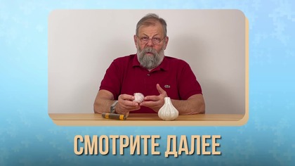 Ta ROŚLINA zniszczy wszystkie brodawczaki, keratomy, a nawet kłykciny  każdy liść wart złota