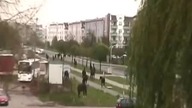 Konie w centrum Płocka
