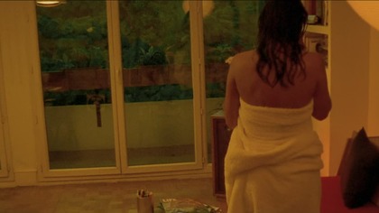 Time Destroys All Things - Alexandra Heller-Nicholas on Irreversible (2021)