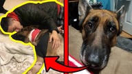 PIES POŚWIĘCIŁ SIĘ dla WŁAŚCICIELA I ZOSTAŁ POSTRZELONY 4 RAZY!