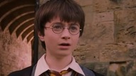 HARRY POTTER I KAMIEŃ CZ. 8 PARODIA/PRZER&Ocirc;BKA