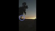 ZOBACZYŁ COŚ PRZERAŻAJĄCEGO NA CEMNTARZU