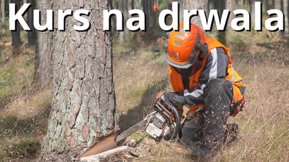 JAK ZOSTAĆ DRWALEM (za darmo) Kurs drwala || Okiem ZULa || BCU Tuchola