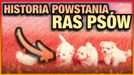 10 HISTORII POWSTANIA RAS PSOW