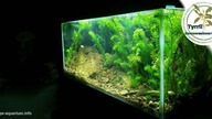 Akwarium 160l - biotopowe.