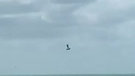 Kitesurfing pełen ekstremalnych wrażeń