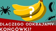 Po co odkrajamy końcówki BANANÓW i czym jest choroba Panamska?