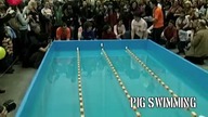 Świńska olimpiada