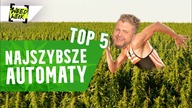 NAJSZYBSZE AUTOMATY NA POLSKĘ | #WeedWeek