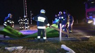 Maty chroniące przed ptasią grypą