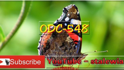 Odc-548-Cz. Nr1-Ogród Egzotyczny-Pokaz slajdów-Chillout (stalewiak)